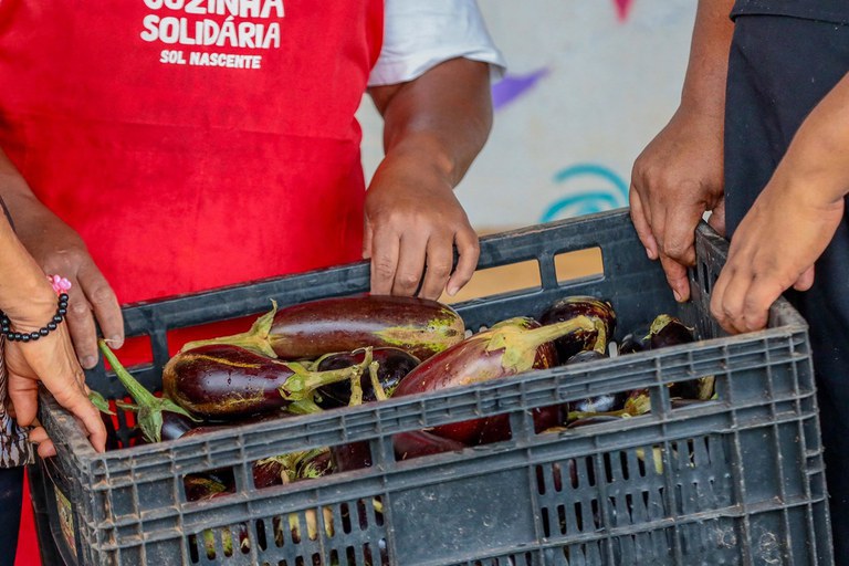 PAA ultrapassa 21,75 mil toneladas de alimentos doados em 2024