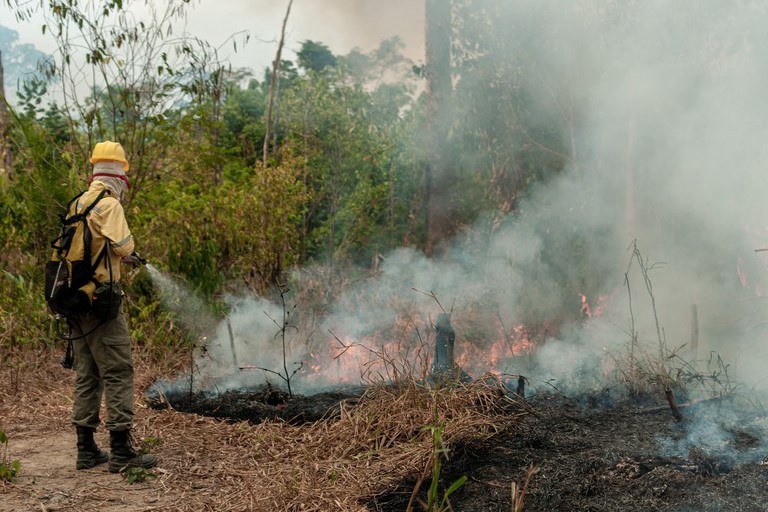 Incêndios na Amazônia