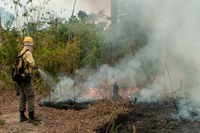 Governo Federal atua com mais de 1,4 mil brigadistas na Amazônia