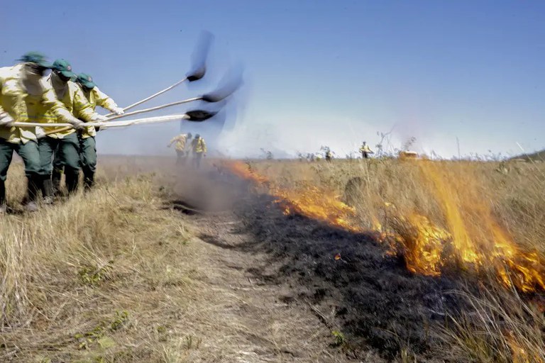 Brigadas de prevenção e combate a incêndios