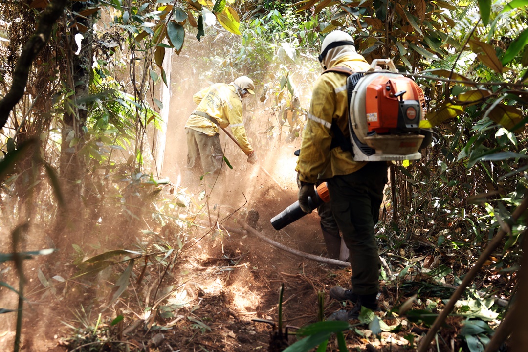 Brigadistas no Parque Nacional de Brasília: consenso entre estados é de que muitos dos incêndios são criminosos. Foto: Antônio Cruz/Agência Brasil