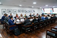 Reunião interministerial alinha conteúdo e estratégias de lançamento do Guia sobre uso de telas por crianças e adolescentes