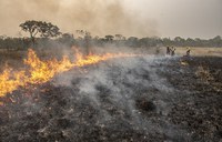 AGU cobra mais de R$ 89 milhões de infratores por queimadas em vegetação nativa