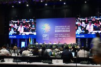 COP 16: parlamentares lançam declaração para proteção da biodiversidade global