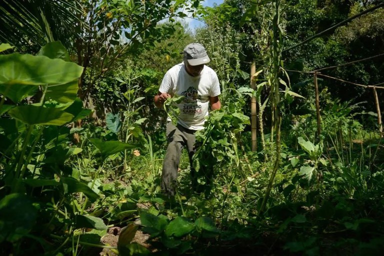 Agroecologia.jpg