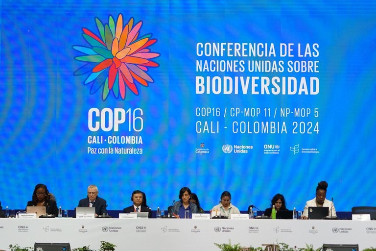 COP16b.jpg