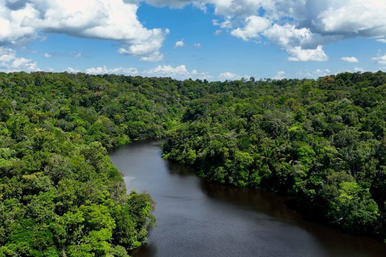 Desembolsos do BNDES para Amazônia Legal superam R$ 10 bi de jan a set/2024, 83% a mais que 2022