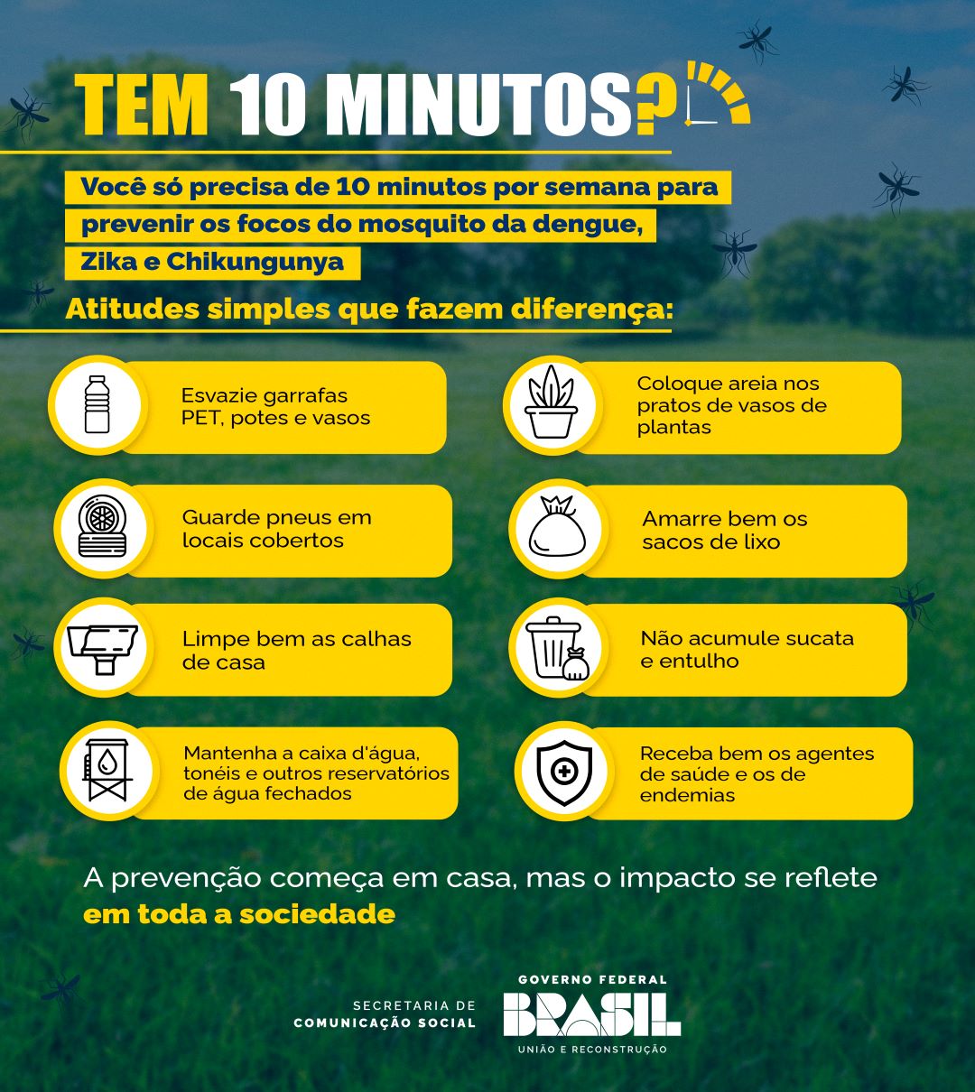 Dicas de prevenção ao mosquito Aedes aegypti