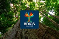 Conheça a identidade visual do BRICS Brasil: árvore amazônica traduz objetivos do grupo