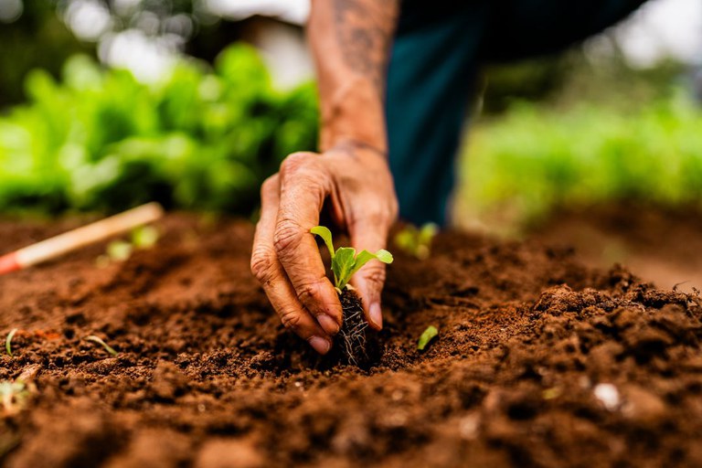 Governo Federal lança Plataforma Agro Brasil + Sustentável