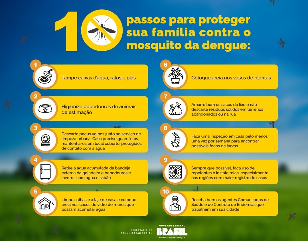 Dez passos para o combate à dengue. Todos podem contribuir