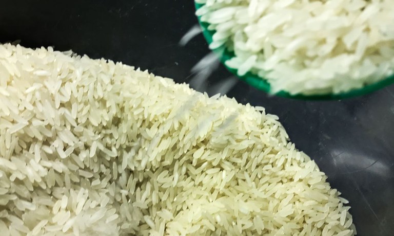 Importação arroz