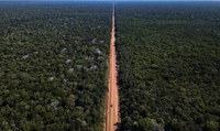 Governo Federal não confiscou terras do sul do Amazonas