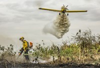 Governo Federal destaca 500 profissionais para combate de incêndios no Pantanal