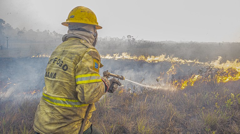 A imagem mostra brigadistas do Prevfogo/Ibama e ICMBio combatendo incêndios florestais na Terra Indígena Tenharim/Marmelos, no Amazonas