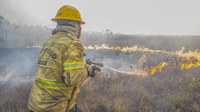 Governo Federal já controlou ou extinguiu 70% dos incêndios na Amazônia, Pantanal e Cerrado