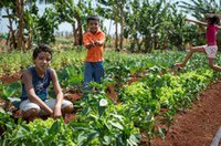 Promoção da alimentação saudável é desafio para o Brasil