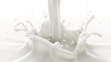 Aprovado projeto que obriga fabricantes a informar sobre lactose no rótulo de alimentos