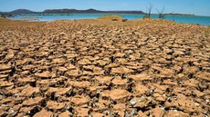 Bahia aprova Lei de Convivência com o Semiárido