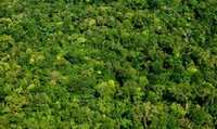 OTCA mostra os projetos que marcam 38 anos do bloco socioambiental da Amazônia