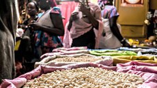 Tema do Dia Mundial da Alimentação trata dos impactos da mudança climática na agricultura