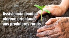 Agricultura familiar e compras públicas: Pnater