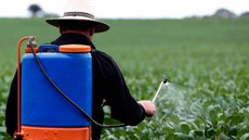 Brasil Rural: conselheiro fala sobre possível mudança na legislação do agrotóxico no País