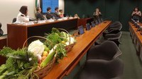 Comissão da Câmara aprova a proposta da Política Nacional de Redução de Agrotóxico