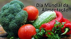 Dia Mundial da Alimentação é celebrado nesta terça-feira (16)