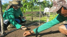 FAO oferece curso online sobre agricultura familiar e manejo de recursos naturais