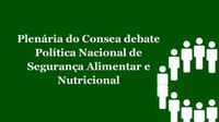 Plenária do Consea debate Política Nacional de Segurança Alimentar e Nutricional