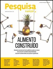 Revista mostra relação entre consumo de alimentos processados e risco de obesidade