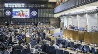 Sociedade civil apresenta agenda de eventos paralelos à reunião da ONU em Roma