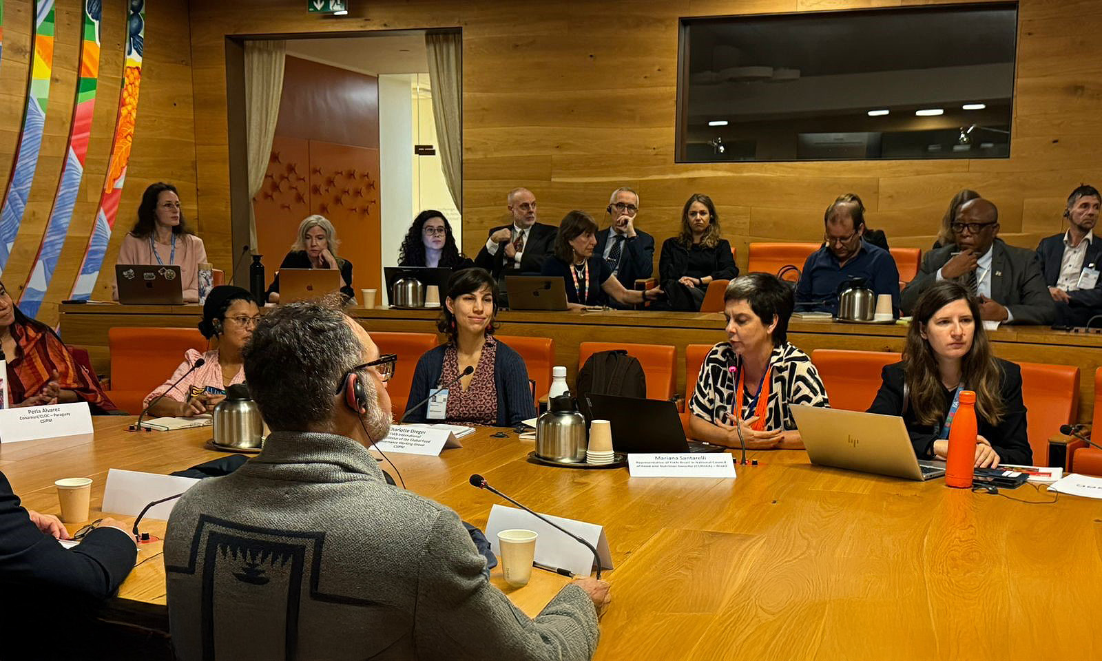 Conselheira Mariana Santarelli fala sobre a experiência da participação social no Brasil na construção de uma agenda pública no combate à fome