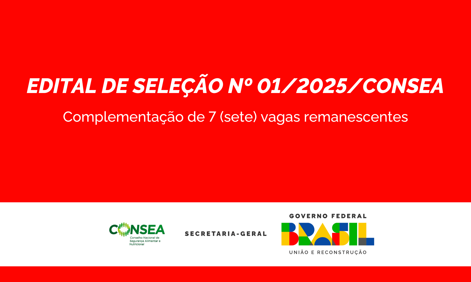 Processo de seleção pública por meio de consulta entre pares para 7 (sete) vagas remanescentes do Edital nº 01/2024/Consea para composição da lista de indicação de representações da sociedade civil para integrar o Conselho Nacional de Segurança Alimentar e Nutricional – Mandato 2025/2027