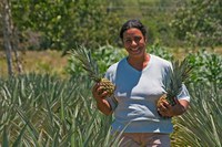 O significado do Dia Mundial da Alimentação