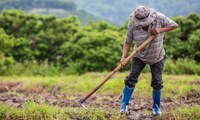 Presidente sanciona lei que favorece pequenos produtores