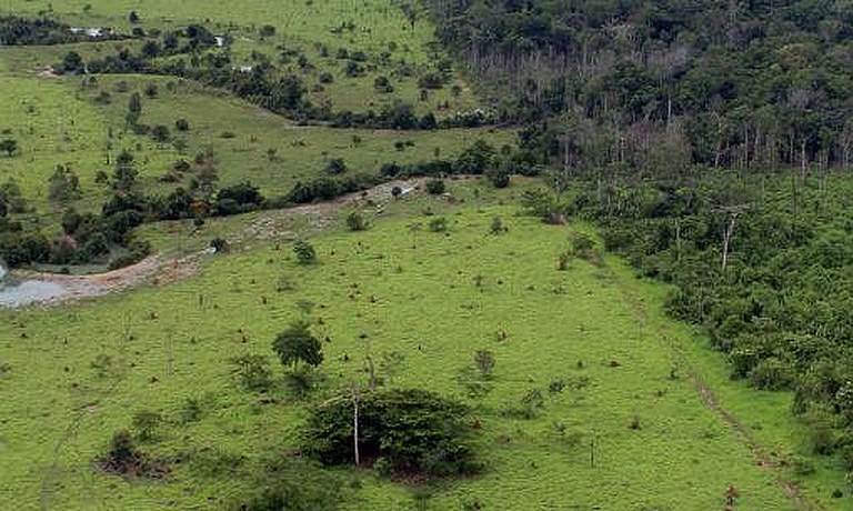 RuralAmazonia.jpg