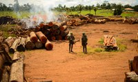 Operação Verde Brasil 2 será prorrogada até novembro