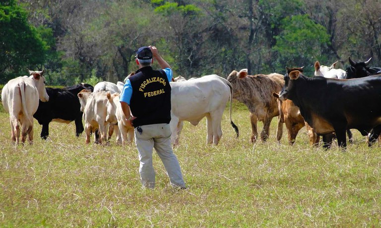 Auditor Fiscal Agropecuario.jpg