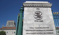 Medida Provisória autoriza Brasil a suspender concessões a membros da OMC