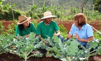 Lei inclui as instituições públicas prestadoras oficiais dos serviços de assistência técnica e extensão rural na execução do Pronatec