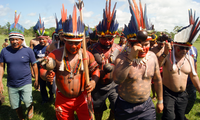 Desintrusão da Terra Indígena Alto Rio Guamá chega à terceira fase