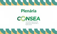 Consea realiza 4ª plenária de 2024 e traz para o debate o Programa Nacional de Alimentação Escolar (PNAE)