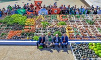 Lançamento do Plano Safra 2024/2025 no Palácio do Planalto com Foco na Agricultura Familiar