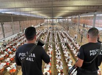 Depen divulga relatório prévio de estudo inédito sobre reincidência criminal no Brasil