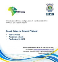 Revista Brasileira de Execução Penal recebe artigos para Dossiê "Saúde no Sistema Prisional”