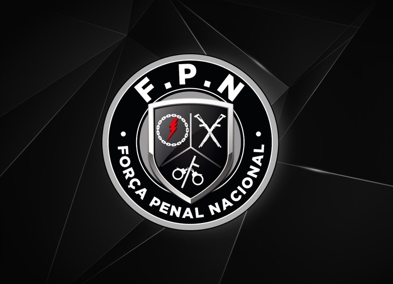 FPn_redesing_logo_layout_.jpg