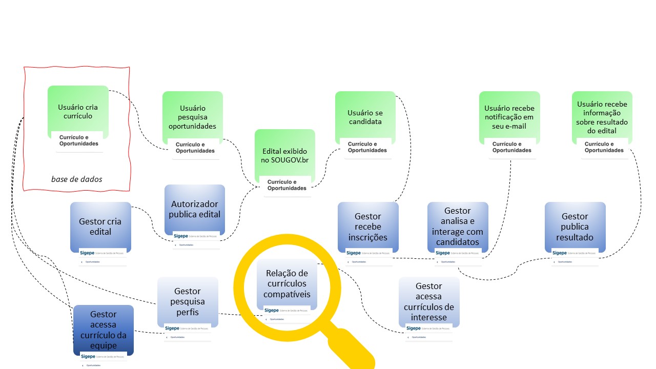 Funcionamento do Currículo e Oportunidades