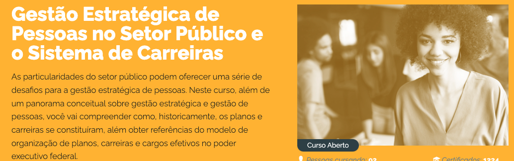 Curso Gestão Estratégica de Pessoas no Setor Público e o Sistema de Carreiras